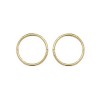 9ct Gold 10mm Sleeper Earrings