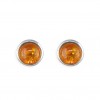 Sterling Silver Round Amber Stud Earrings